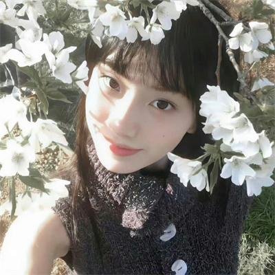 我的朋友叫哈维